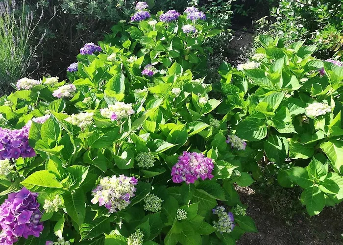 Abbracciu Climatisee Avec Piscine Chauffee Et Vue * Pietrosella