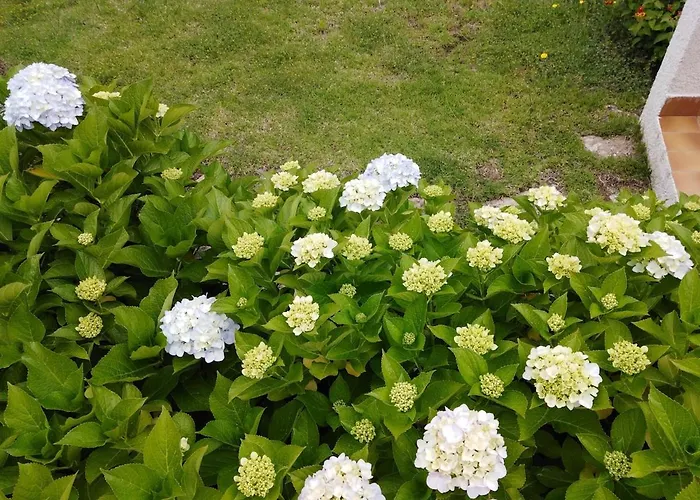 Abbracciu Climatisee Avec Piscine Chauffee Et Vue *