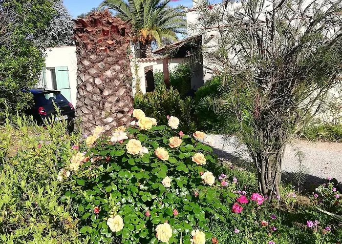 Abbracciu Climatisee Avec Piscine Chauffee Et Vue * Pietrosella