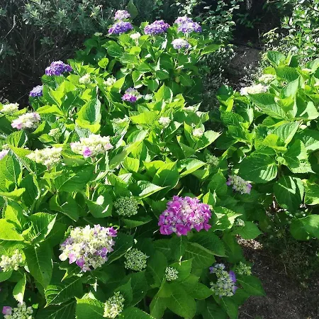 Abbracciu Climatisee Avec Piscine Chauffee Et Vue * Pietrosella
