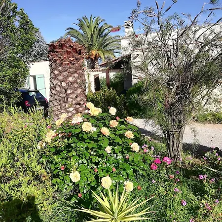 Abbracciu Climatisee Avec Piscine Chauffee Et Vue * Pietrosella