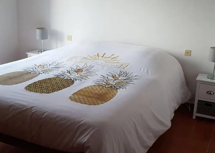 Villa Abbracciu Climatisee Avec Piscine Chauffee Et Vue Pietrosella